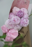 Hoa Bó Cao Cấp - BH33