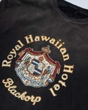 Hawaii Long Sleeve shirt