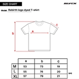 Rebirth logo dyed T-shirt