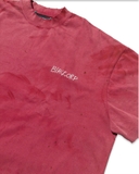 Stain T-shirts
