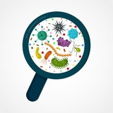 Chế phẩm vi sinh