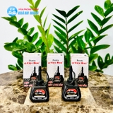 Mực lông dầu Penta