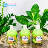 Nước rửa tay Aquala 500ml