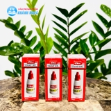 Mực dấu Shiny