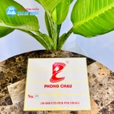 Giấy Decal Tomy