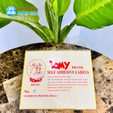 Giấy Decal Tomy