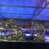 Cây giả trang trí bể cá