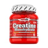 Amix Creatine Monohydrate Micronized - 500g