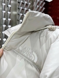 Áo Phao Lông Vũ The North Face x Kaws