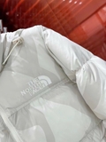 Áo Phao Lông Vũ The North Face x Kaws