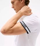 Polo Tommy M03858