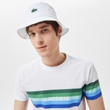 Lacoste TH0309
