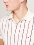 Polo Tommy MW35627