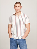 Polo Tommy MW35627