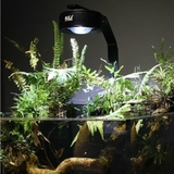 So Sánh Đèn KZJ RM4 (Rọi) vs. Netlea AT5 vs. Chihiros WRGB 2