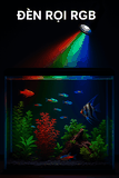 Đèn rọi bể cá RGB - Xu hướng mới cho đèn thuỷ sinh