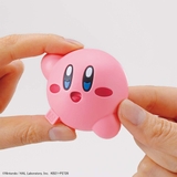 ENTRY GRADE KIRBY