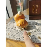Shiba Collection Animal Planet