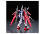 RG 1/144 DESTINY GUNDAM