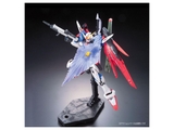 RG 1/144 DESTINY GUNDAM