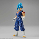 Figure-rise Standard Super Saiyan God SS (Super Saiyan) Vegetto