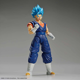 Figure-rise Standard Super Saiyan God SS (Super Saiyan) Vegetto