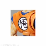 Figure-rise Standard Super Saiyan God Super Saiyan Son Goku (Renewal Ver.)