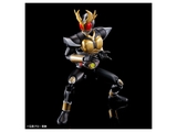 FIGURE-RISE STANDARD MASKED RIDER AGITO GROUND FORM