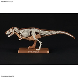 PLANNOSAURUS Tyrannosaurus