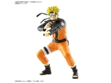 Entry Grade Uzumaki Naruto