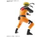 Entry Grade Uzumaki Naruto