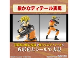 Entry Grade Uzumaki Naruto