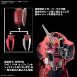 HGCE 1/144 ZGOK - SEED FREEDOM Ver