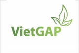 HTX Nông Nghiệp Hữu Cơ V. ORGANIC