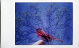 Lomo'Instant Camera & Lens - Boston Edition