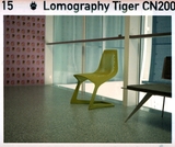 Lomography Tiger Color Negative - ISO 200 - 24 Exp - 110mm