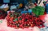 Kodak Eastman Ektachrome 100 - 35mm Film - ISO 100 - 36 Exp - Color Reversal Film