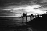 JCH Streetpan 400 B&W Film - ISO 400 - 120mm Film