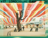 LomoChrome Classicolor - Film 110 - ISO 200 - 24 Exp