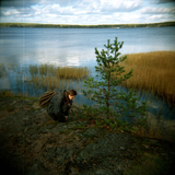 Lomography Color Negative - ISO 400 - 10-16Exp - 120mm
