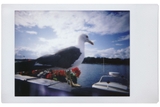 Lomo’Instant Camera & Lenses - Lomography
