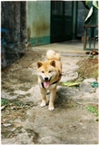 Kodak Portra 400 - 120mm - ISO 400 - 12exp