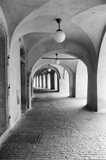 Ilford FP4 Plus 125 - B/W film - ISO 125 - 35mm - 36 exp