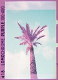 LomoChrome Purple 2021 - 110 - ISO 100–400 - 24 Exp
