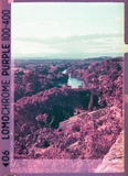 LomoChrome Purple 2021 - 110 - ISO 100–400 - 24 Exp