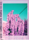 LomoChrome Purple 2021 - 110 - ISO 100–400 - 24 Exp
