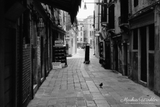 Lomography Earl Grey BW - ISO 100 - 35mm