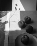 Kentmere - B&W - ISO 100 - 36 exp - 35mm