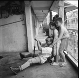 Fomapan Classic 100 - 12Exp - 120mm, film trắng đen
