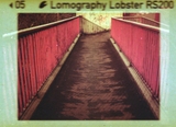 Lomography Lobster Redscale -  Film 110 -  ISO 200 - 24 Exp